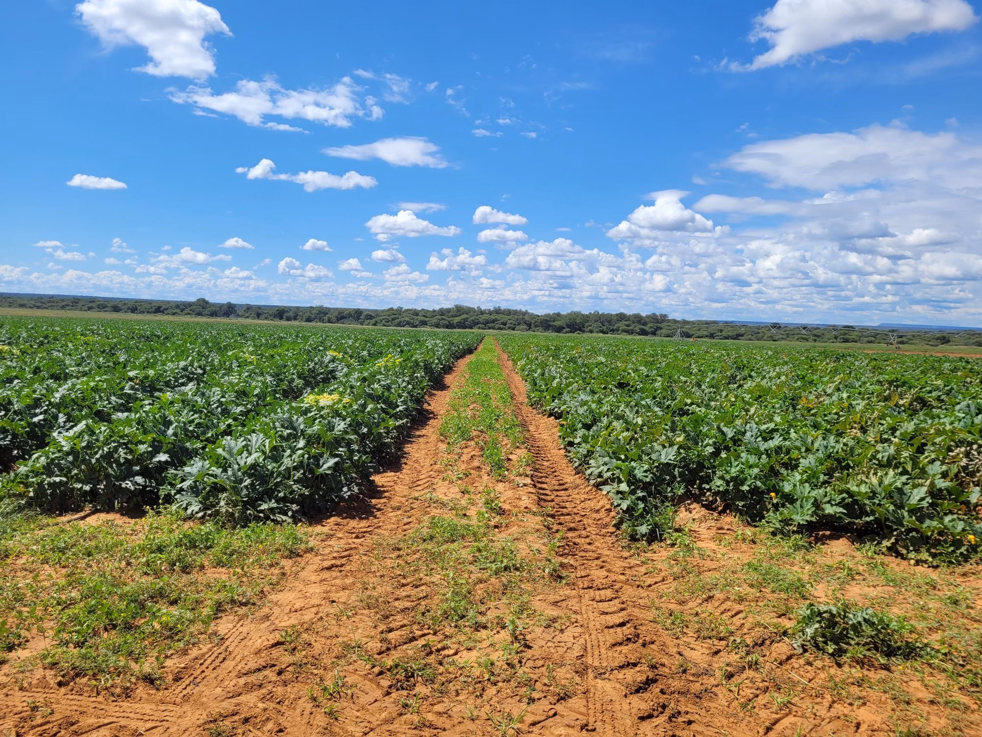 20220413 115615 20220413 115615