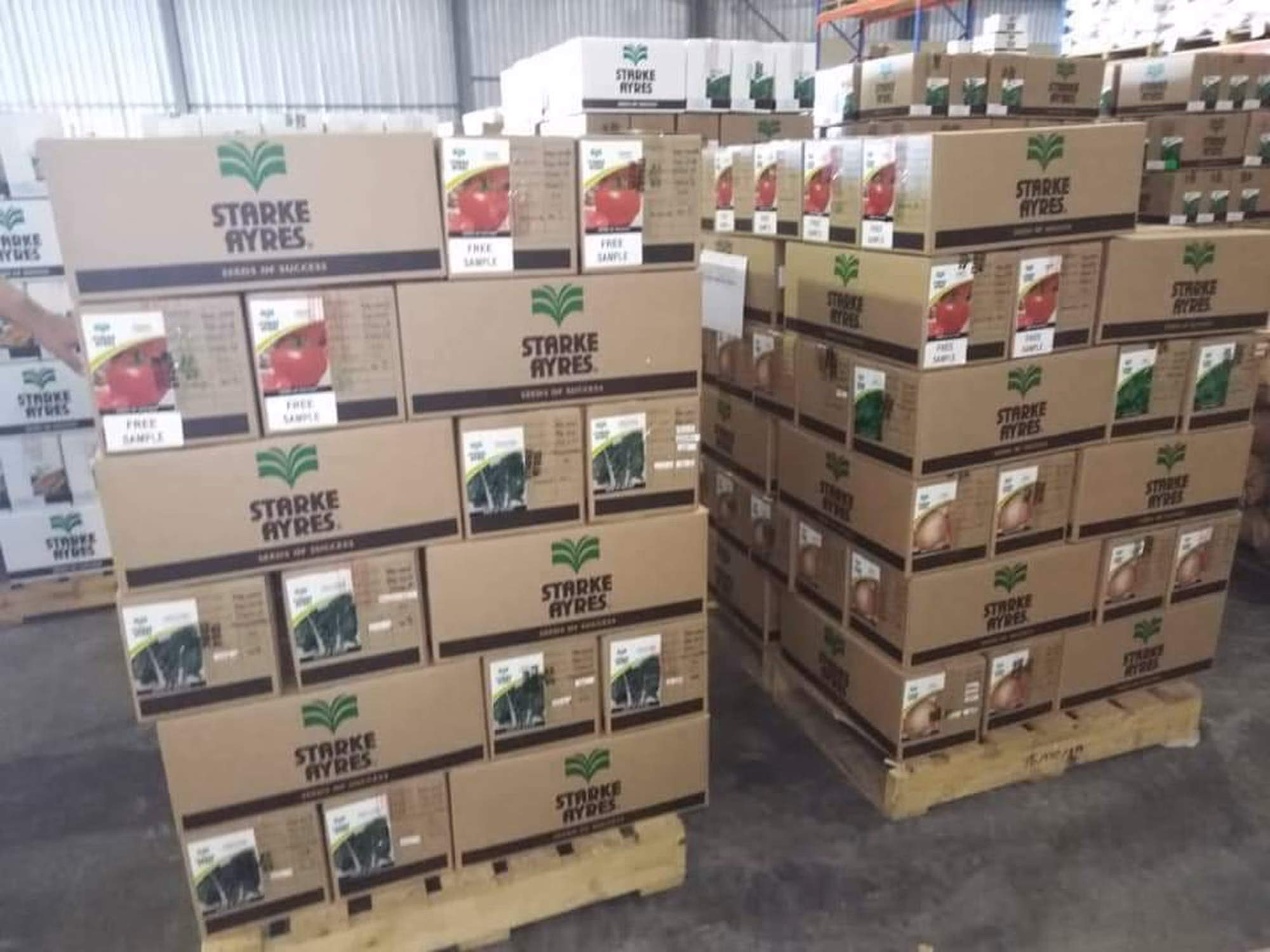 FB IMG 1562311676258 FB IMG 1562311676258