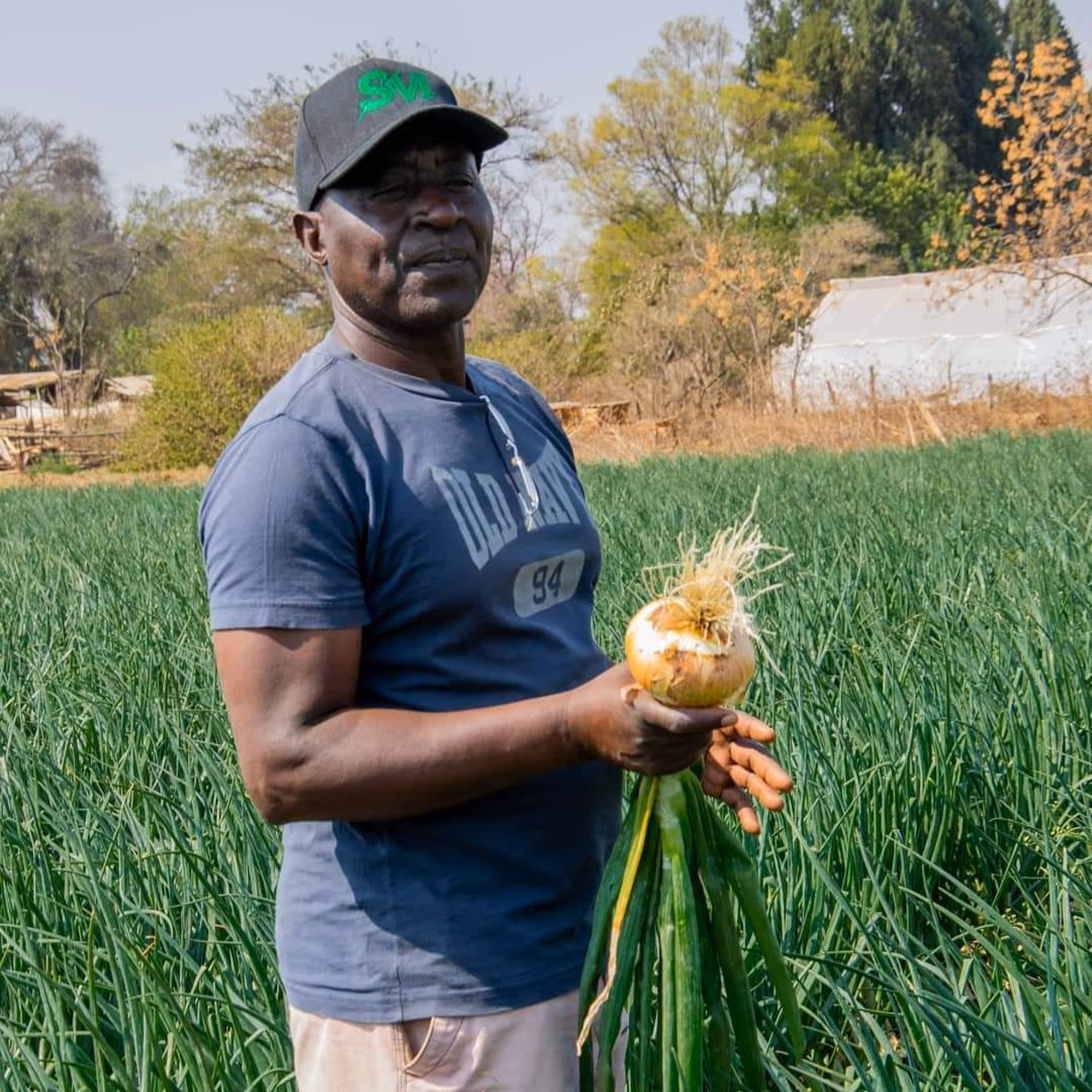 FB IMG 1604308647367 FB IMG 1604308647367