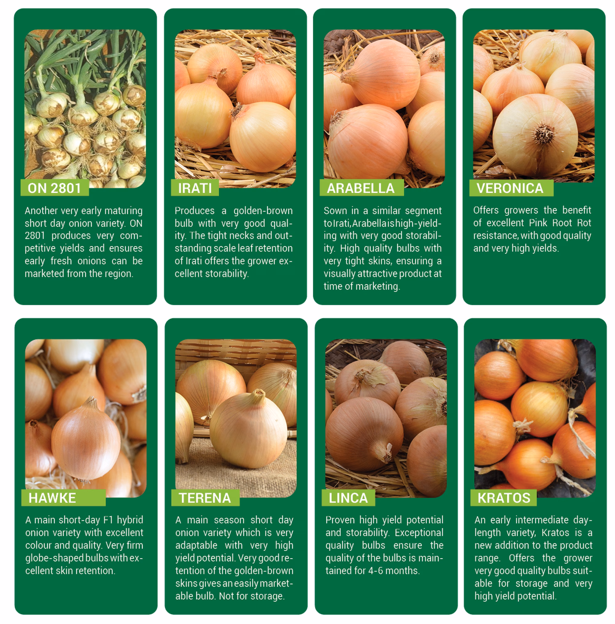 Seed News Summer 2025 Seed News Summer 2025