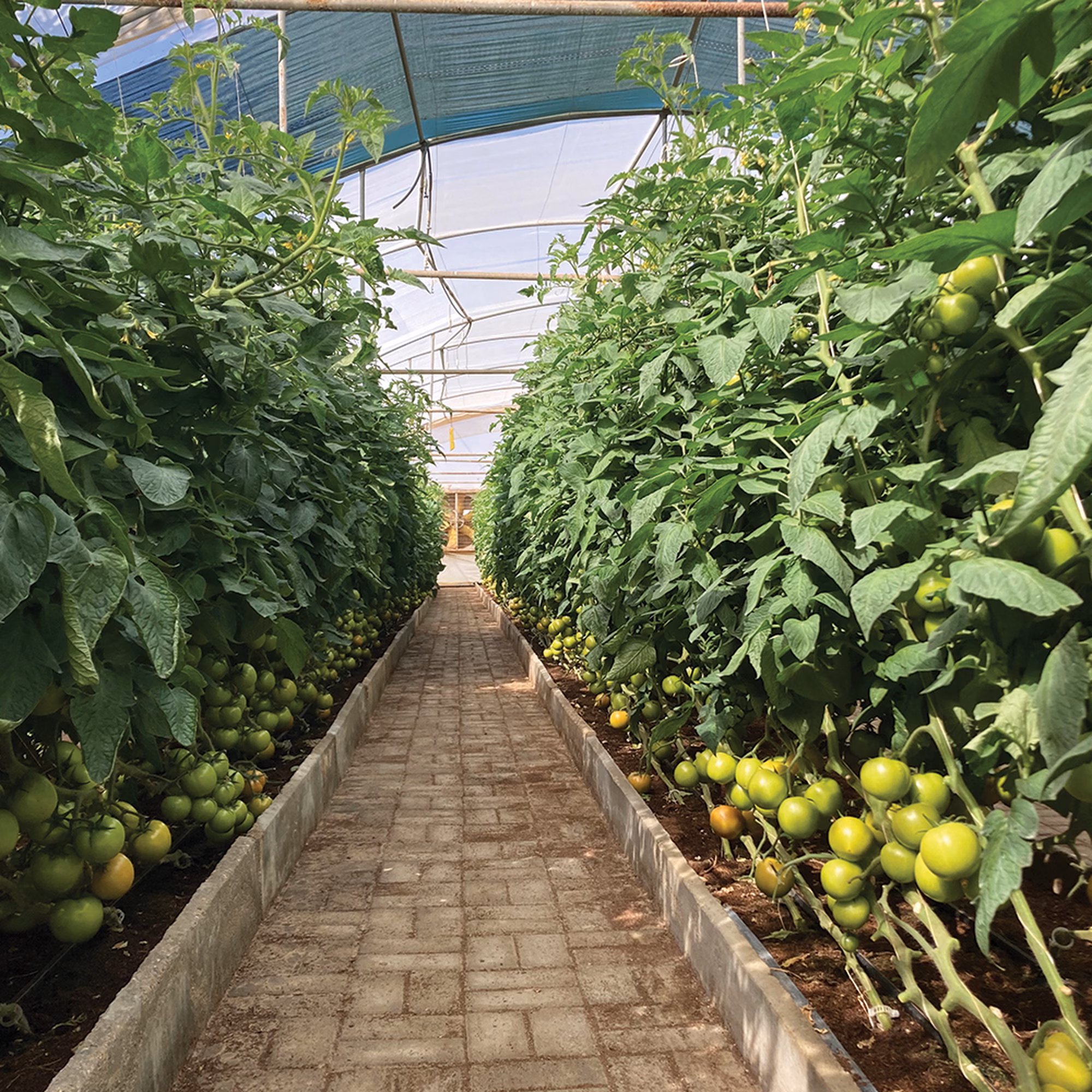 Unetitled 1 Unetitled 1