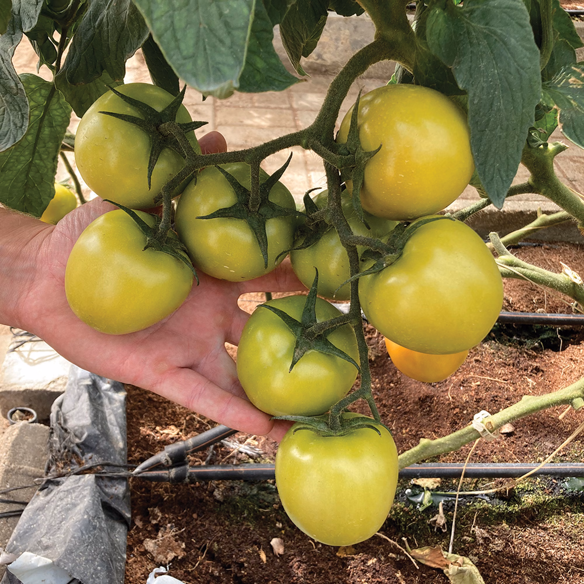 Untitdled 1 Untitdled 1