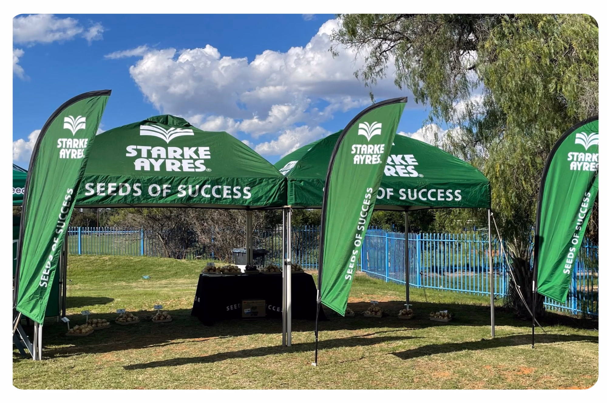 Varieties 02 Varieties 02