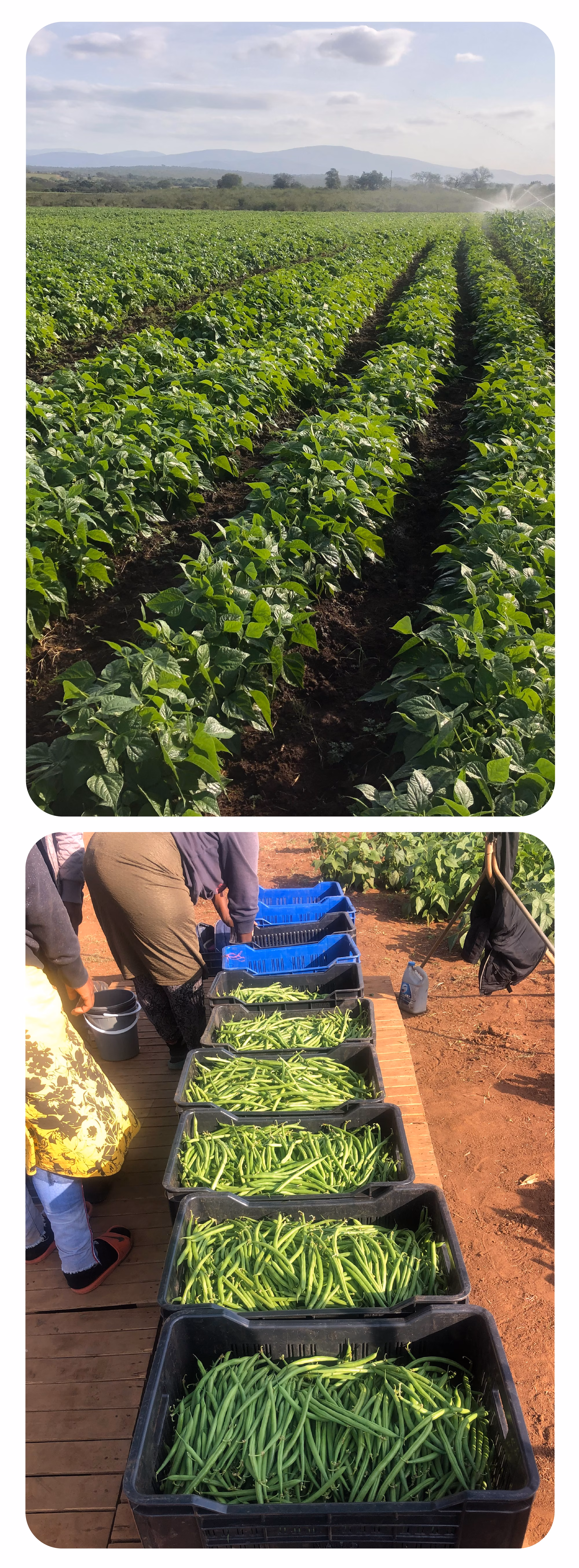 Web Images 02 Web Images 02