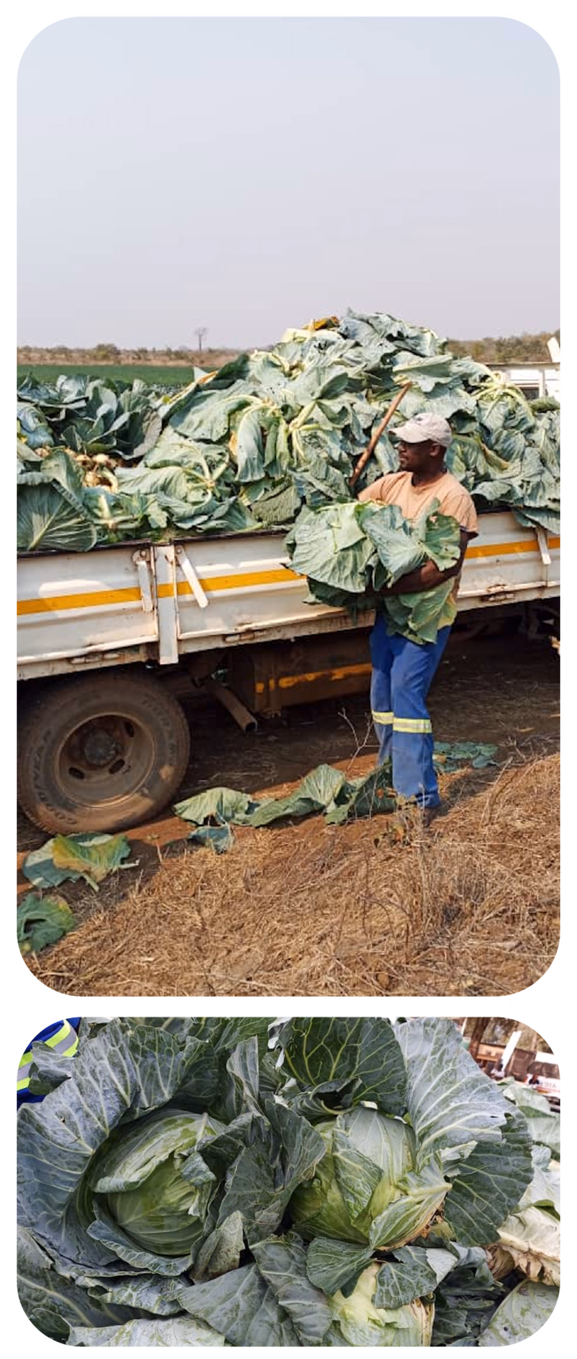 Web post 01 Web post 01