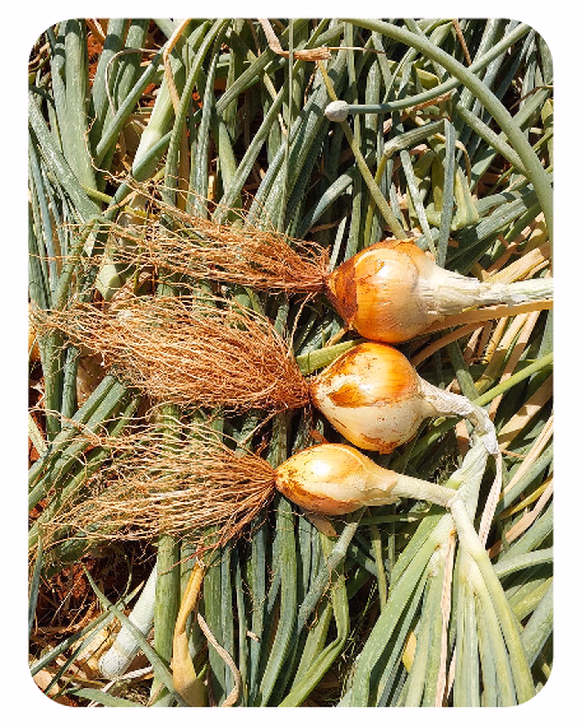 Web post 01 Web post 01