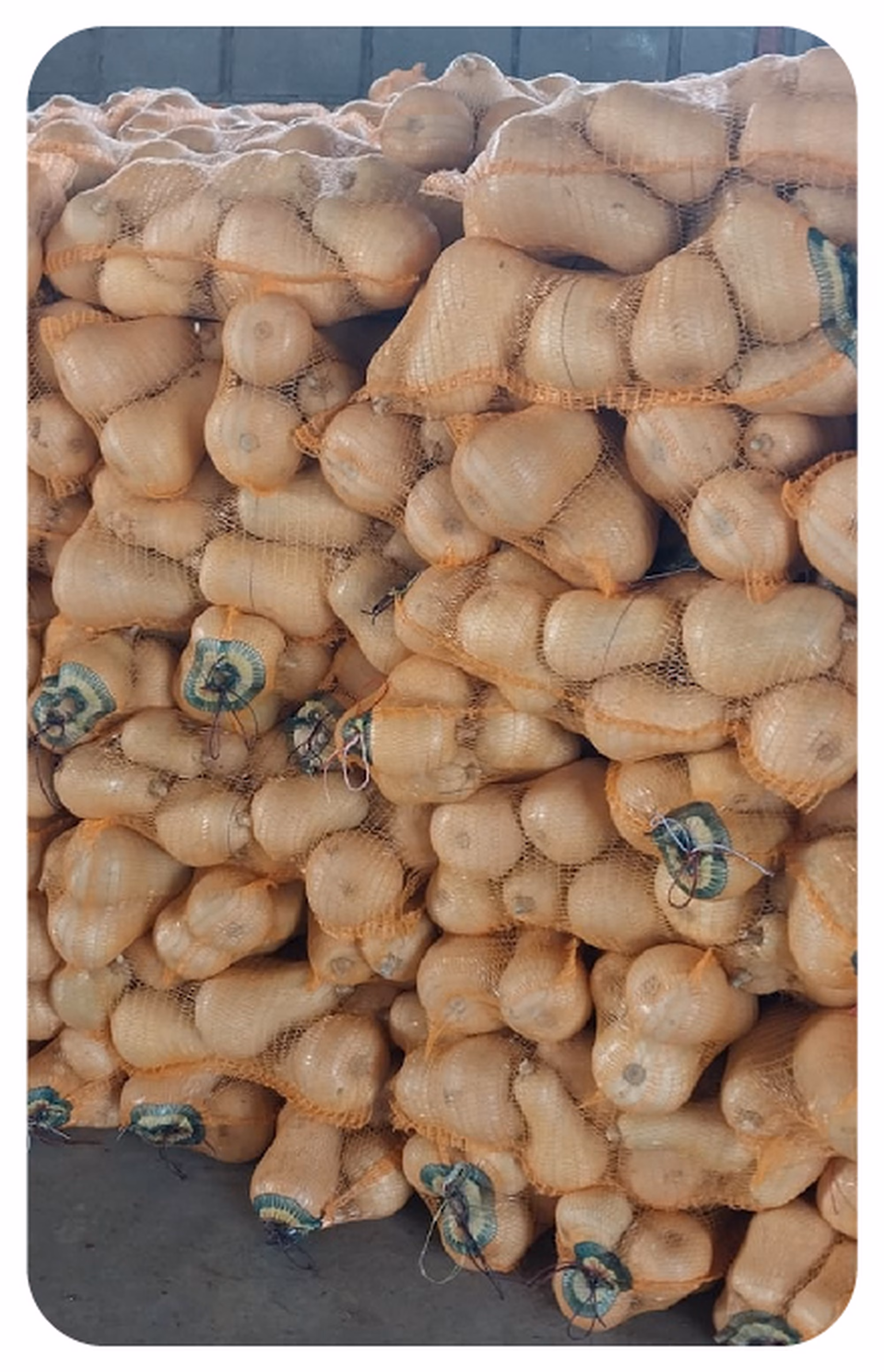 Web post 02 Web post 02