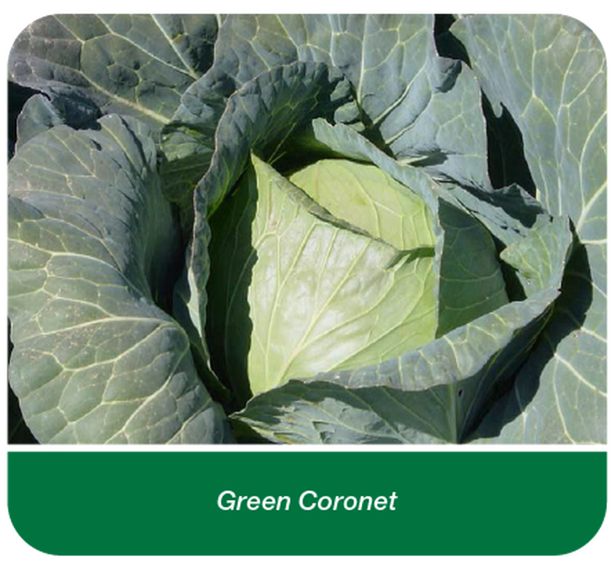 Web post 02 Web post 02