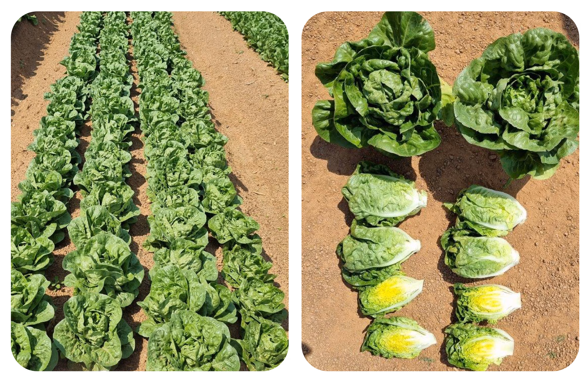 Web post 02 Web post 02