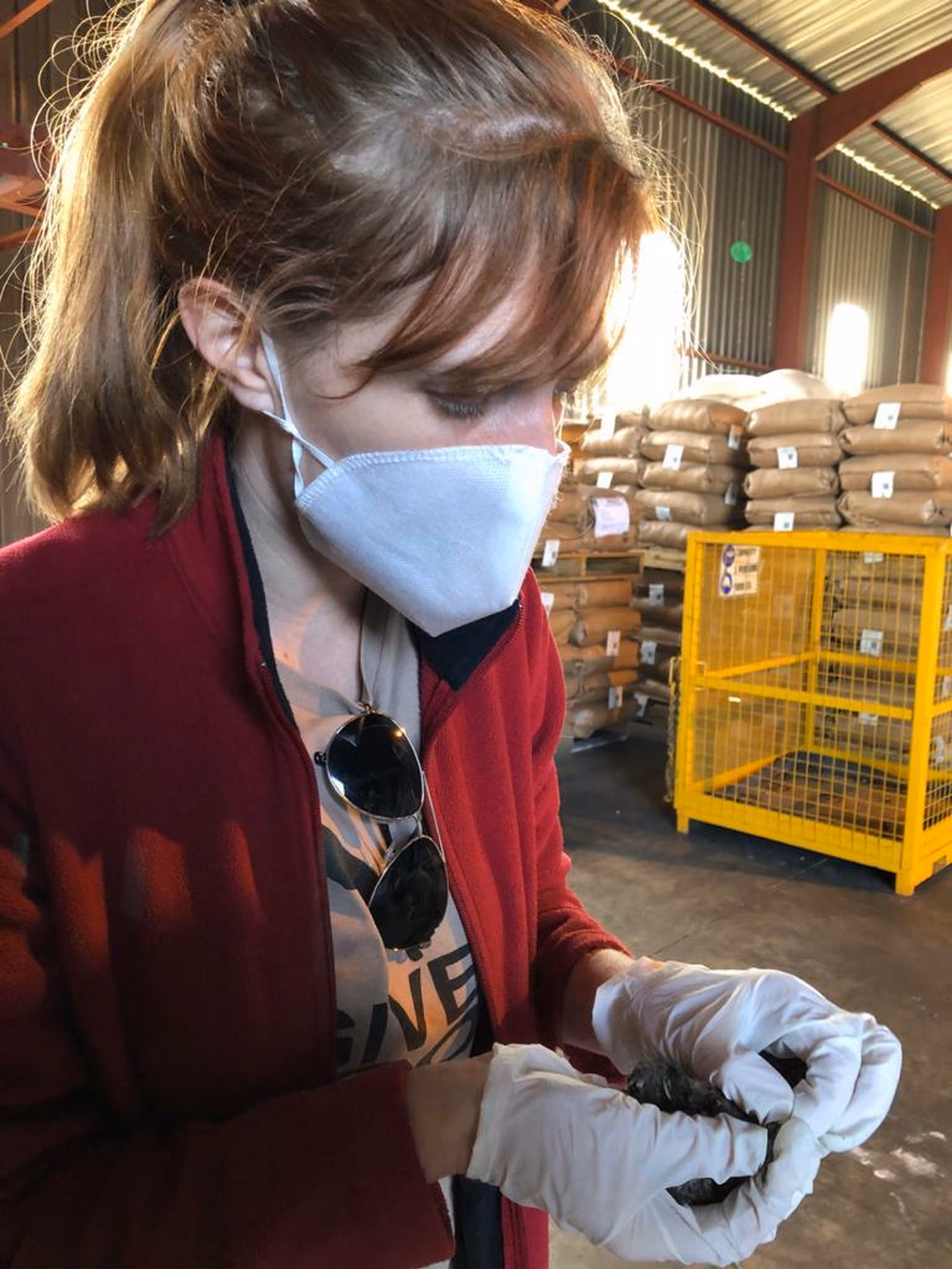 Whats App Image 2020 06 24 at 09 05 45 1 Whats App Image 2020 06 24 at 09 05 45 1