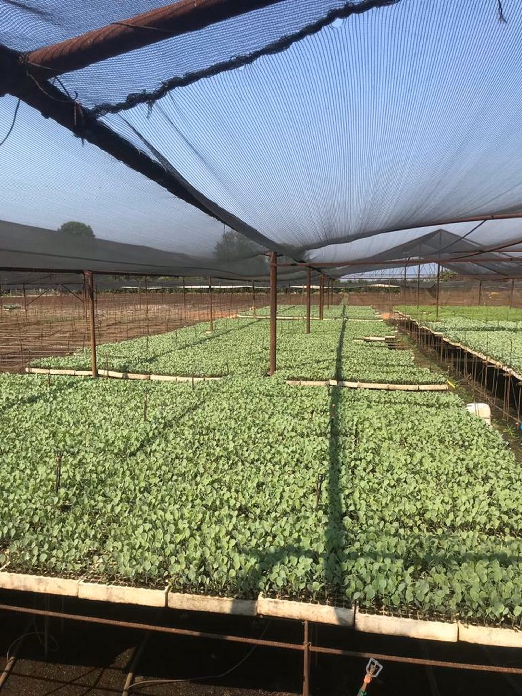 Whats App Image 2020 10 29 at 08 21 24 1 Whats App Image 2020 10 29 at 08 21 24 1