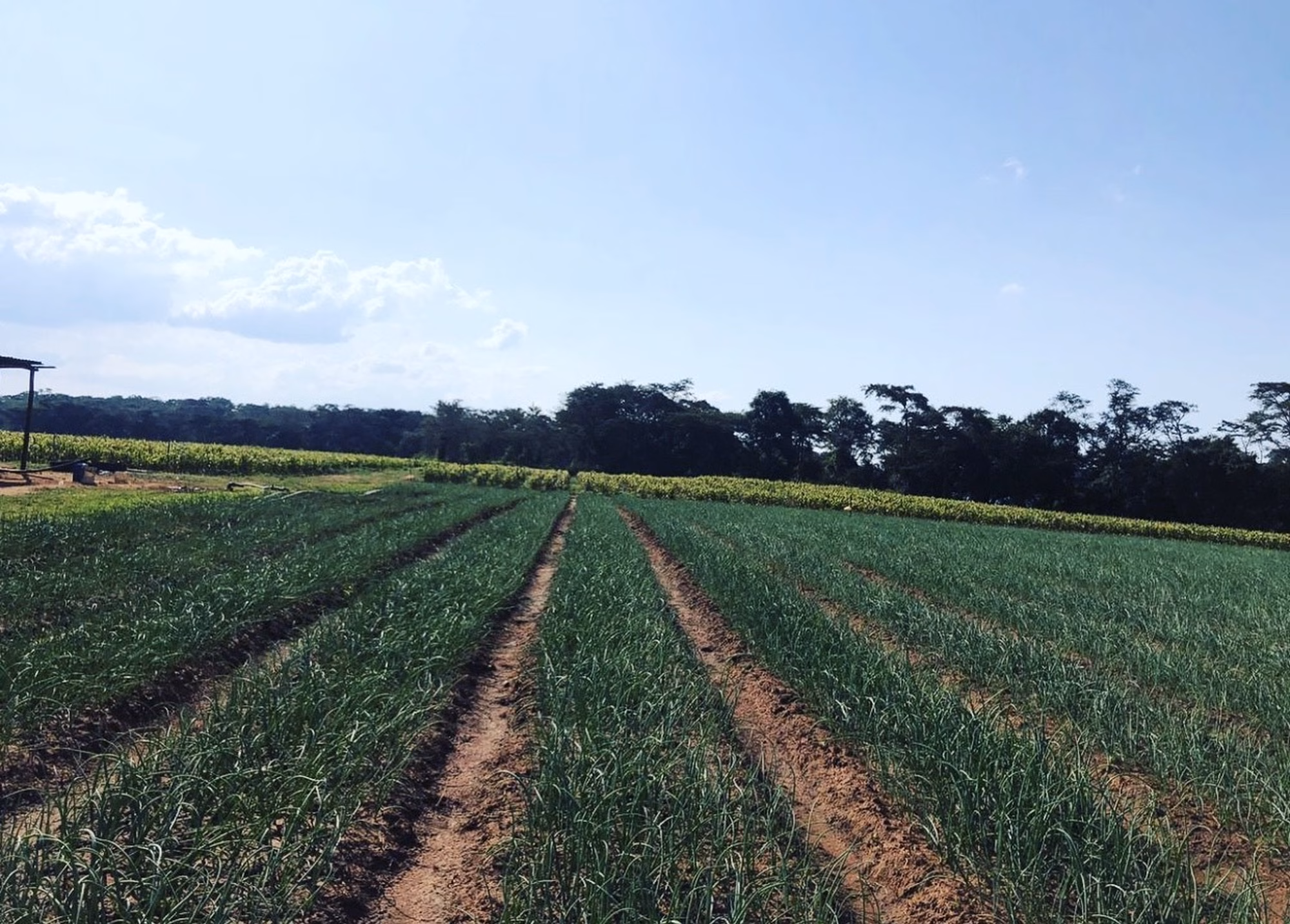 Image 6487327 Image 6487327